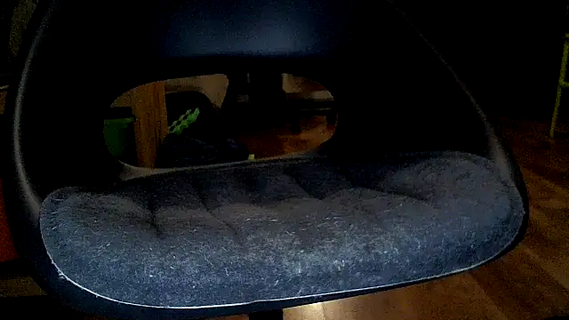 TobyDick13 online show from 01-17-26, 11:30