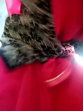 Juhi chawla online show from 12-04-25, 01:59