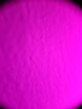 Snapshot of Michou02xXx chatting on 02-18-26, 04:52 Michou02xXx online show from 02-18-26, 04:52