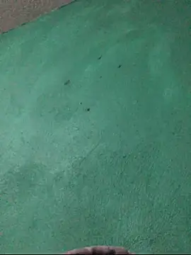 carlo20n online show from 10-15-25, 11:49