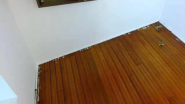 shelbygp online show from 03-05-26, 12:01