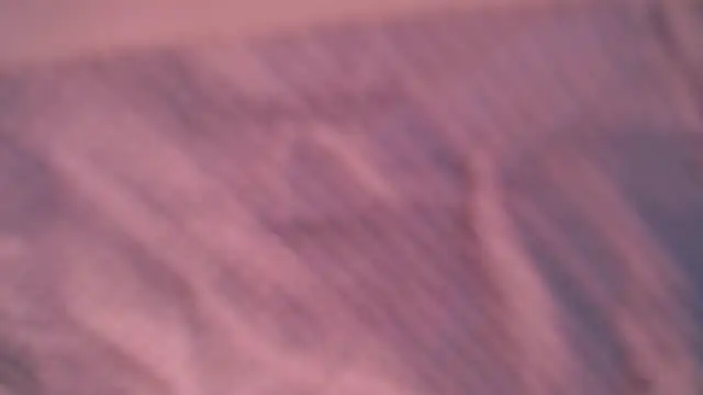 Snapshot of Liz_Hu chatting on 10-10-25, 04:28 Liz Hu online show from 10-10-25, 04:28