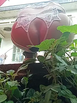 July-Asian online show from 05-24-26, 12:48