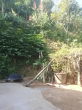 Snapshot of Ruaiuoi chatting on 05-26-26, 12:39 Ruaiuoi online show from 05-26-26, 12:39
