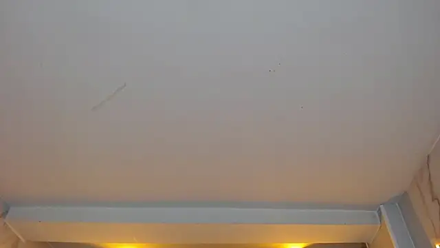 Snapshot of dania_b_ chatting on 10-19-25, 03:07 dania b online show from 10-19-25, 03:07