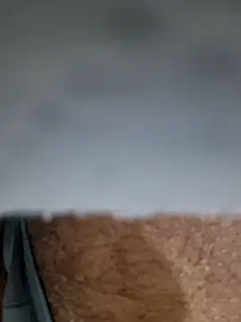 chucra4 online show from 01-09-26, 12:02