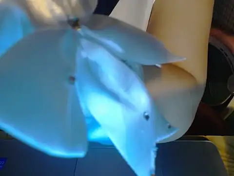 Snapshot of ahoa_Tk chatting on 10-25-25, 06:57 ahoa Tk online show from 10-25-25, 06:57