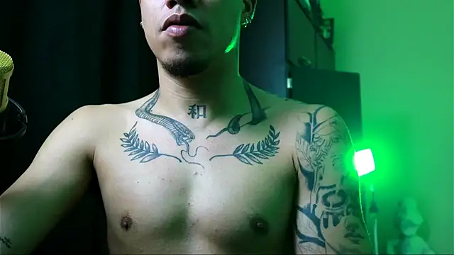 Snapshot of AlphaMasterXxx chatting on 12-02-25, 04:07 AlphaMasterXxx online show from 12-02-25, 04:07