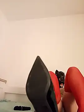 KittenCarnivore online show from 11-22-25, 08:30