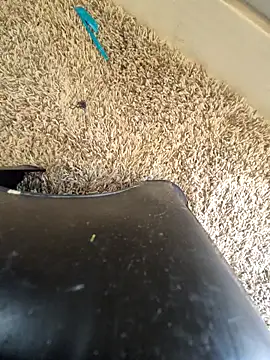 Snapshot of EsDezz88 chatting on 03-22-26, 08:23 EsDezz88 online show from 03-22-26, 08:23