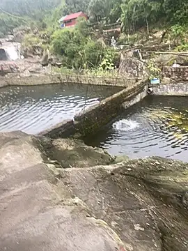 Snapshot of PhanHaa chatting on 11-10-25, 09:30 PhanHaa online show from 11-10-25, 09:30