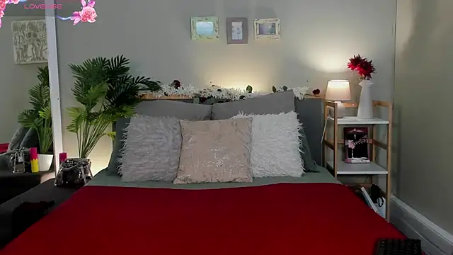 HotStellaaa online show from 11-27-25, 08:38