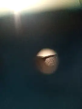 Sonya51561 online show from 11-26-25, 02:51