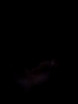 Snapshot of Harini_Gautam chatting on 09-27-25, 07:30 Harini Gautam online show from 09-27-25, 07:30