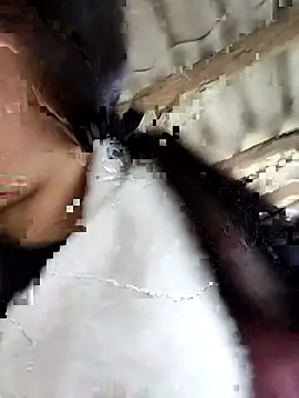 Sinejdk3 online show from 02-16-26, 09:38