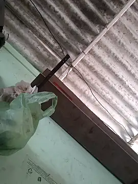 Snapshot of akshant1234 chatting on 11-17-25, 04:51 akshant1234 online show from 11-17-25, 04:51