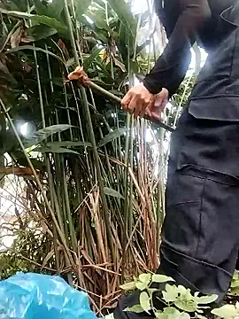 Snapshot of linda_bae00 chatting on 10-26-25, 01:55 linda bae00 online show from 10-26-25, 01:55