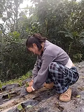 Snapshot of linda_bae00 chatting on 11-15-25, 01:58 linda bae00 online show from 11-15-25, 01:58