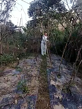 Snapshot of linda_bae00 chatting on 11-27-25, 12:46 linda bae00 online show from 11-27-25, 12:46