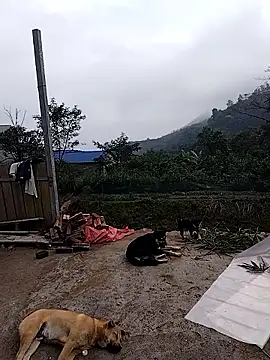 Snapshot of linda_bae00 chatting on 12-19-25, 02:07 linda bae00 online show from 12-19-25, 02:07