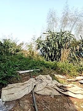 Snapshot of linda_bae00 chatting on 03-02-26, 07:15 linda bae00 online show from 03-02-26, 07:15