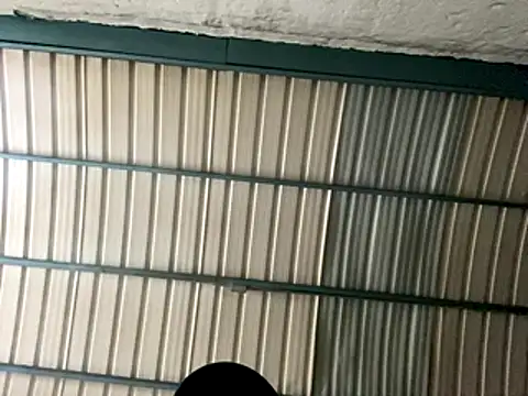 rider239 online show from 10-24-25, 09:28