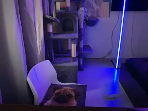 davesinner online show from 03-02-26, 07:15