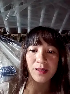 Mini3333 online show from 10-27-25, 05:17