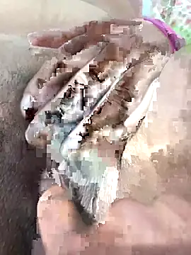 ache45 online show from 11-07-25, 09:15