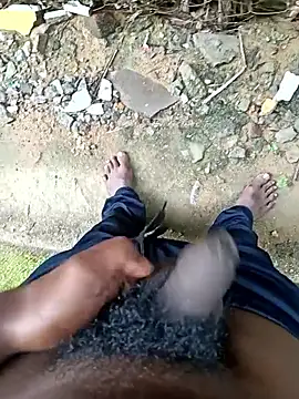 dolphiinn online show from 12-17-25, 04:51