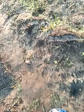 dolphiinn online show from 03-06-26, 01:35