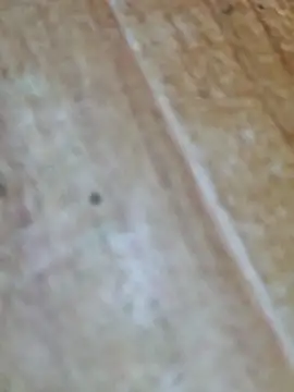 Snapshot of Markroco696 chatting on 10-09-25, 04:10 Markroco696 online show from 10-09-25, 04:10