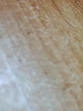 Snapshot of Markroco696 chatting on 11-17-25, 05:02 Markroco696 online show from 11-17-25, 05:02