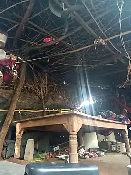 cute diya 12 online show from 11-11-25, 03:28