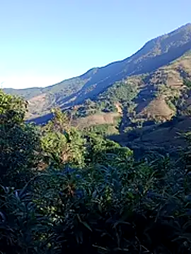 misa 00 online show from 11-29-25, 01:08