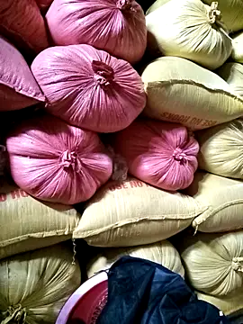 Sa2mh20 online show from 12-17-25, 02:39