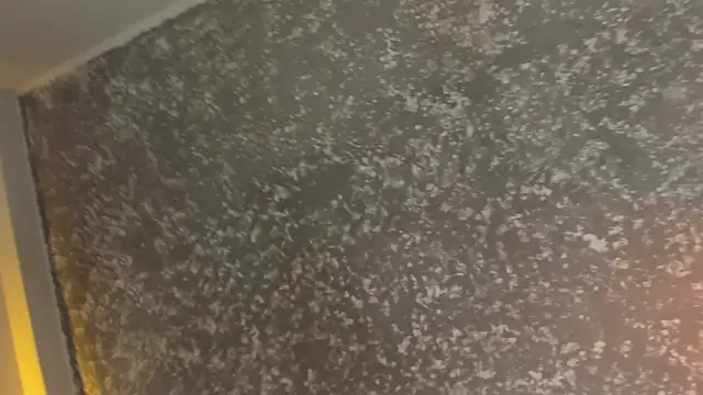 Julieth brown  online show from 12-05-25, 07:54