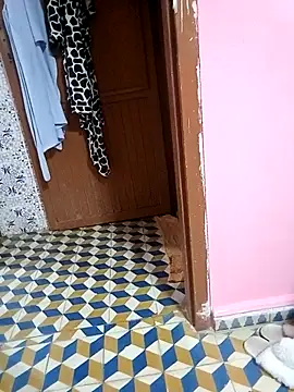 Snapshot of Mayamimi chatting on 11-08-25, 09:31 Mayamimi online show from 11-08-25, 09:31