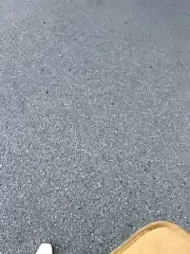 Eva 2025 online show from 01-14-26, 07:47