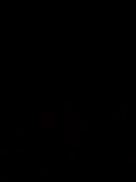 Jasmin Pink online show from 11-20-25, 12:27