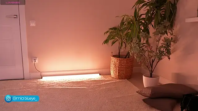 Miablueye online show from 11-20-25, 03:12