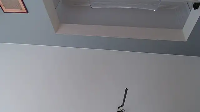 knodli online show from 10-21-25, 11:55