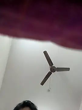 Snapshot of Appypie chatting on 11-16-25, 06:41 Appypie online show from 11-16-25, 06:41