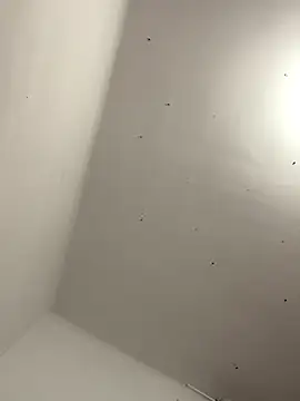 Snapshot of davidxxx099 chatting on 11-22-25, 10:31 davidxxx099 online show from 11-22-25, 10:31