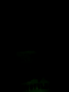 Snapshot of Lisa_pusy chatting on 09-15-25, 10:59 Lisa pusy online show from 09-15-25, 10:59