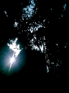 Snapshot of Lisa_pusy chatting on 10-22-25, 10:42 Lisa pusy online show from 10-22-25, 10:42