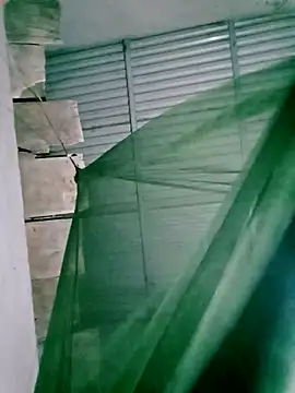 Snapshot of Lisa_pusy chatting on 11-14-25, 12:48 Lisa pusy online show from 11-14-25, 12:48