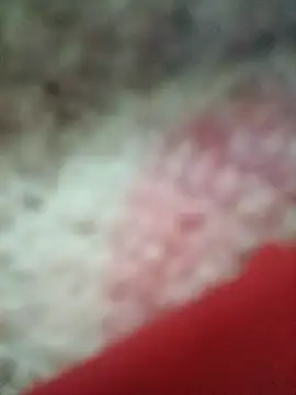 vardh033 online show from 09-16-25, 05:03