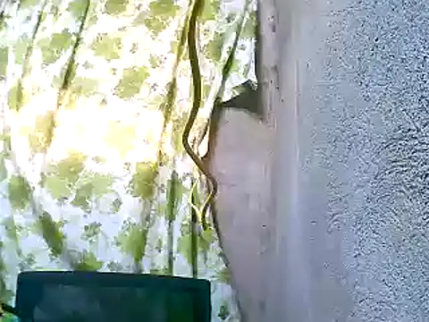 Snapshot of Sweeetgurll chatting on 11-05-25, 01:27 Sweeetgurll online show from 11-05-25, 01:27