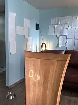 Snapshot of Canneela chatting on 11-23-25, 06:08 Canneela online show from 11-23-25, 06:08